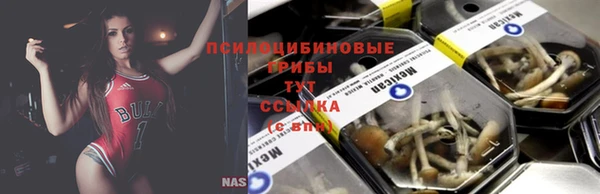 не бодяженный Магадан