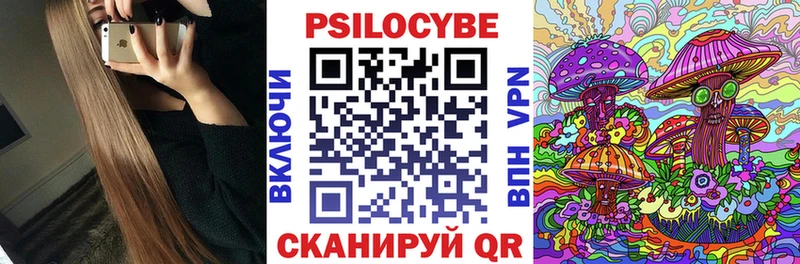 Купить где  Пошехонье  Галлюциногенные грибы Psilocybine cubensis 