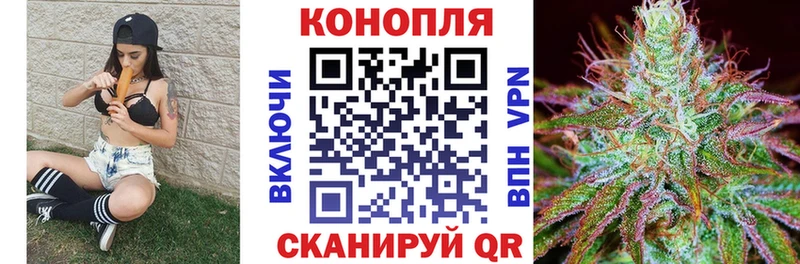 Шишки марихуана THC 21%  Купить где  Пошехонье 